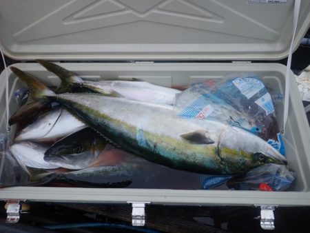 Aquanaut(アクアノート) 釣果