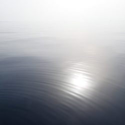 Aquanaut（アクアノート） 釣果