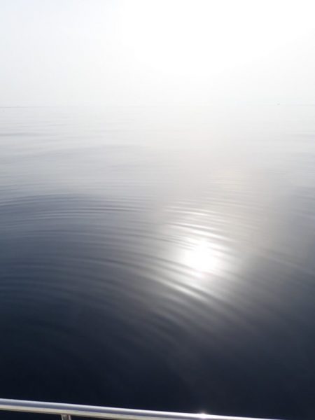 Aquanaut（アクアノート） 釣果