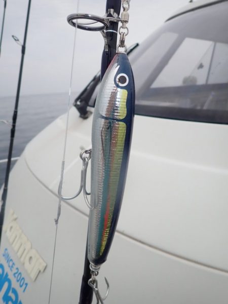 Aquanaut(アクアノート) 釣果