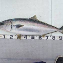 Aquanaut(アクアノート) 釣果