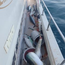 Aquanaut(アクアノート) 釣果