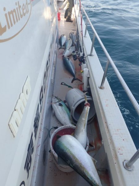 Aquanaut(アクアノート) 釣果