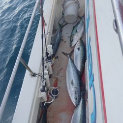 Aquanaut(アクアノート) 釣果