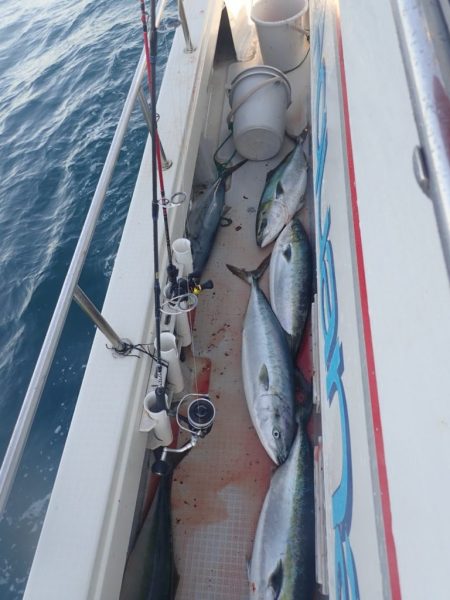 Aquanaut(アクアノート) 釣果