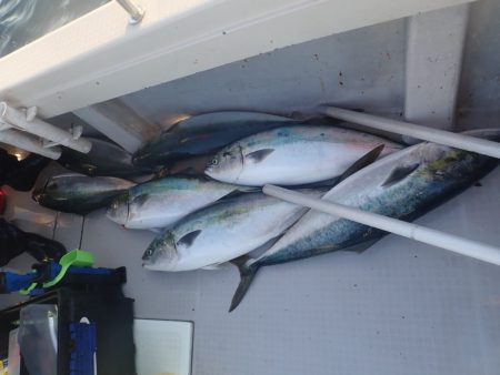 Aquanaut(アクアノート) 釣果