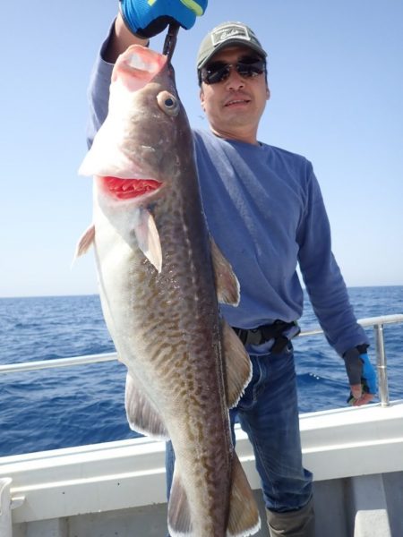 Aquanaut(アクアノート) 釣果