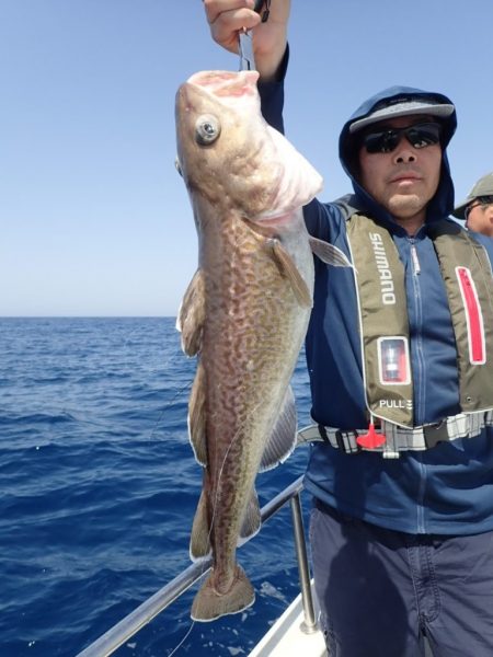 Aquanaut(アクアノート) 釣果