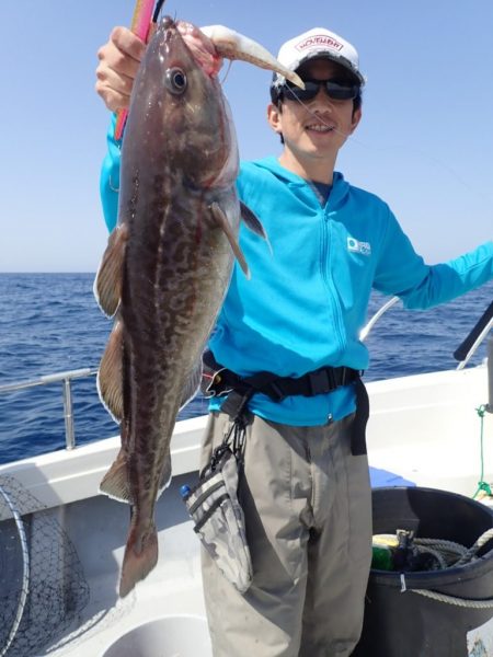 Aquanaut(アクアノート) 釣果