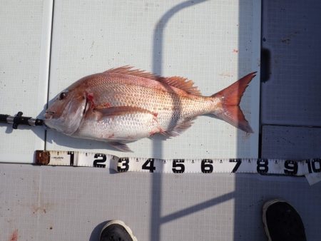 Aquanaut(アクアノート) 釣果