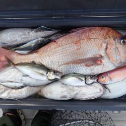 Aquanaut(アクアノート) 釣果