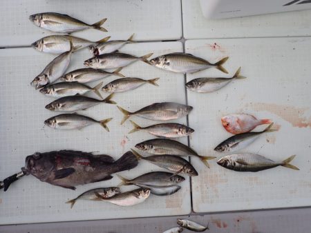 Aquanaut（アクアノート） 釣果