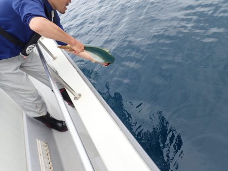 Aquanaut(アクアノート) 釣果