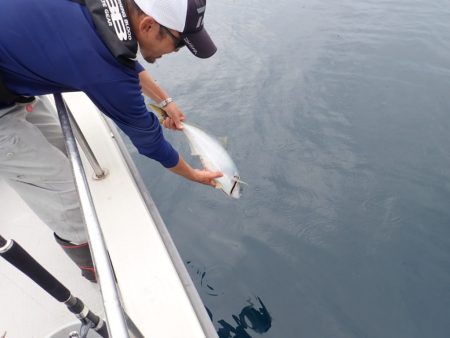 Aquanaut(アクアノート) 釣果