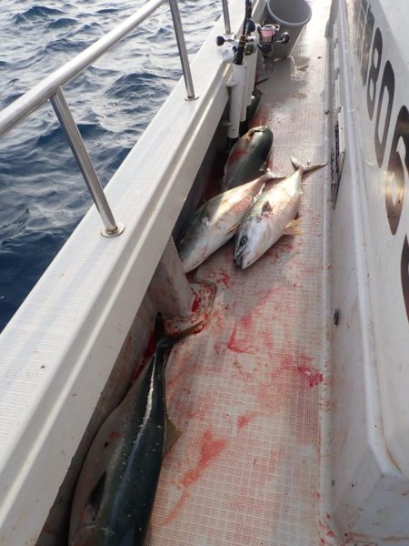 Aquanaut(アクアノート) 釣果