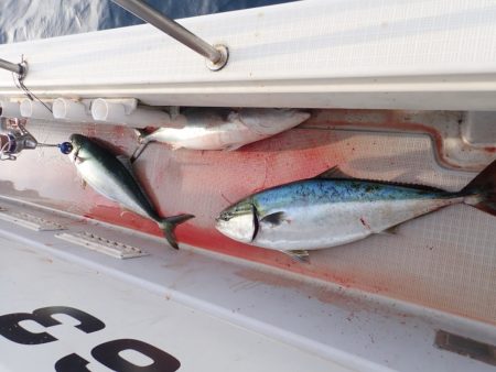 Aquanaut(アクアノート) 釣果