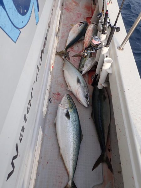 Aquanaut(アクアノート) 釣果