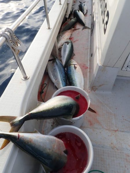 Aquanaut(アクアノート) 釣果