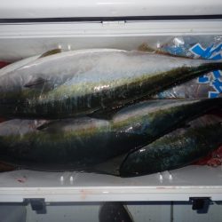 Aquanaut(アクアノート) 釣果