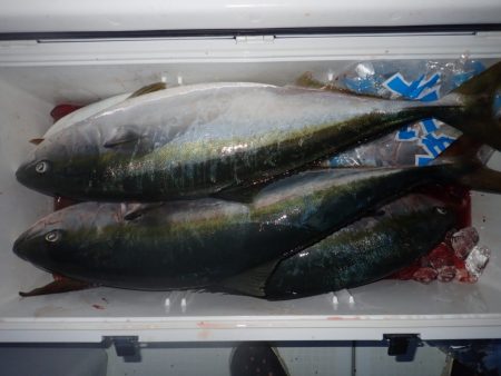 Aquanaut(アクアノート) 釣果