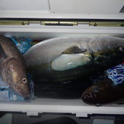 Aquanaut(アクアノート) 釣果