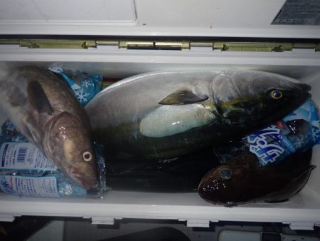 Aquanaut(アクアノート) 釣果