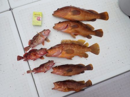 Aquanaut(アクアノート) 釣果