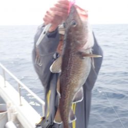 Aquanaut(アクアノート) 釣果