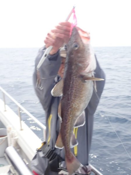 Aquanaut(アクアノート) 釣果