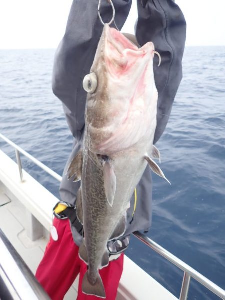 Aquanaut(アクアノート) 釣果