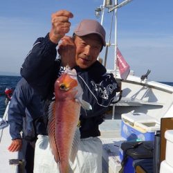 みどり丸 釣果