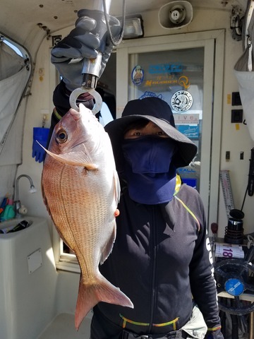 遊漁船　ニライカナイ 釣果