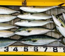 火遠理丸（ほおりまる） 釣果