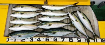 火遠理丸（ほおりまる） 釣果