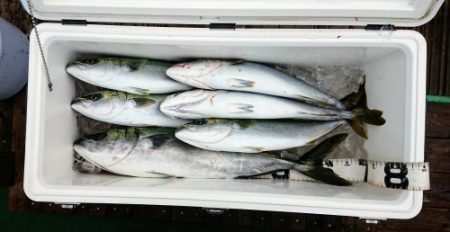 火遠理丸（ほおりまる） 釣果