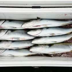 火遠理丸（ほおりまる） 釣果