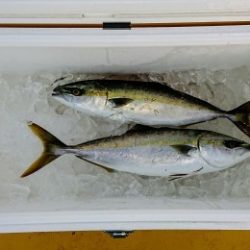 火遠理丸（ほおりまる） 釣果