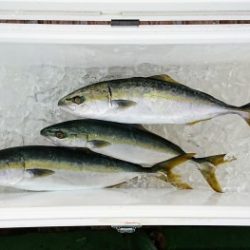 火遠理丸（ほおりまる） 釣果