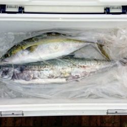 火遠理丸（ほおりまる） 釣果