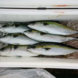 火遠理丸（ほおりまる） 釣果