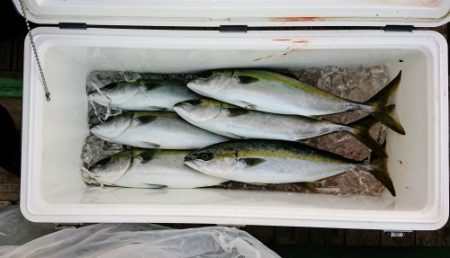 火遠理丸（ほおりまる） 釣果