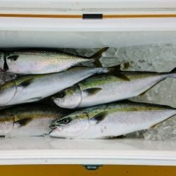 火遠理丸（ほおりまる） 釣果