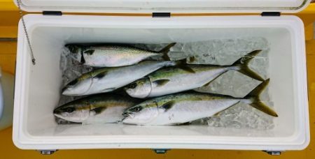 火遠理丸（ほおりまる） 釣果