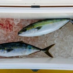 火遠理丸（ほおりまる） 釣果