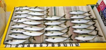 火遠理丸（ほおりまる） 釣果