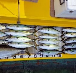 火遠理丸(ほおりまる) 釣果