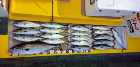 火遠理丸(ほおりまる) 釣果