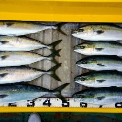 火遠理丸(ほおりまる) 釣果