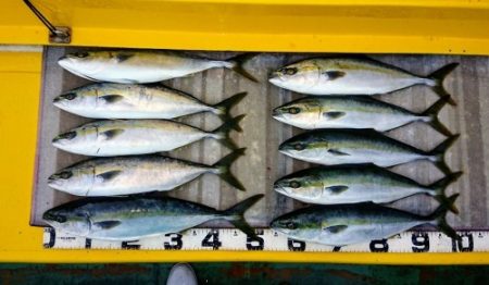 火遠理丸(ほおりまる) 釣果