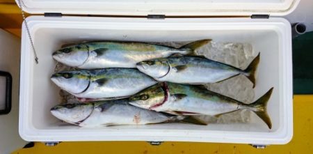 火遠理丸(ほおりまる) 釣果